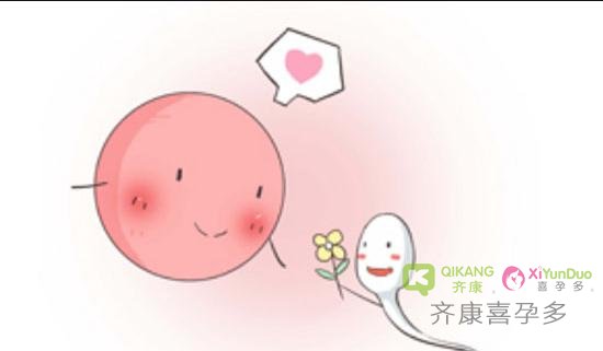 卵泡长大后不能正常排出是哪里出了问题？是什么原因导致不排卵？