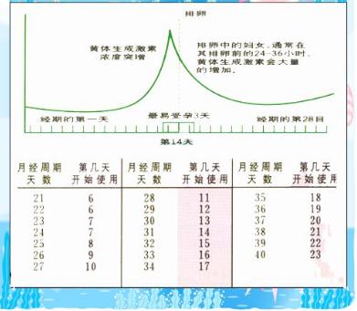 卵泡长大后不能正常排出是哪里出了问题？是什么原因导致不排卵？