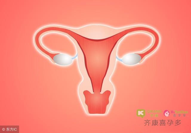 女性应该如何保养子宫？齐康喜孕多给您支招啦！