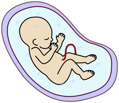 精子DNA碎片率却高是如何影响试管婴儿成功率的，应如何避免