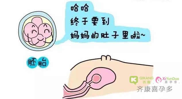 试管婴儿胚胎移植前要怎么憋尿才有助于胚胎着床呢？