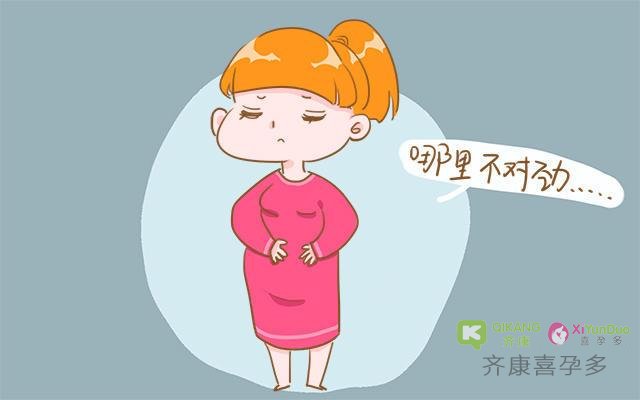 齐康喜孕多孕育小课堂：试管移植后宝宝在孕妈体内如何生长的？