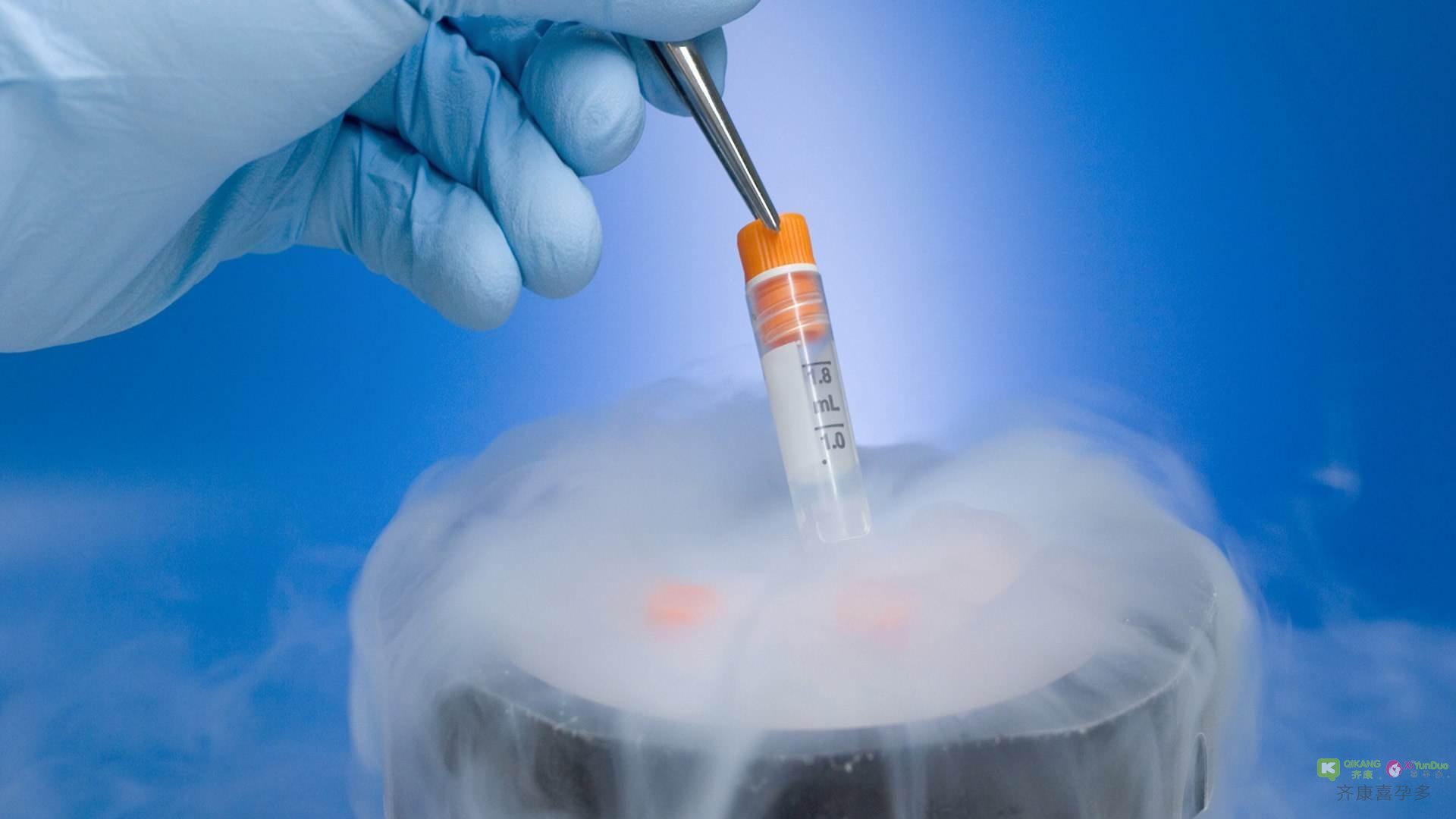 为什么海外生殖中心大都选择移植囊胚？是比鲜胚成功率高吗？