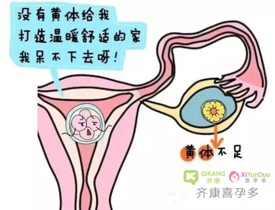 为什么做试管婴儿的准妈妈都要补充黄体酮呢？