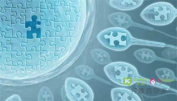 胚胎性染色体是X单体是怎么回事？胎儿染色体X单体还能要吗？