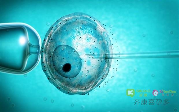 试管移植后胚胎不能成功着床是受到哪些因素的影响？