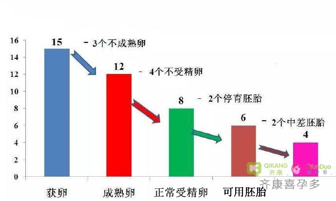 促排后取出卵子数量多，但移植可用胚胎数量少是什么原因？