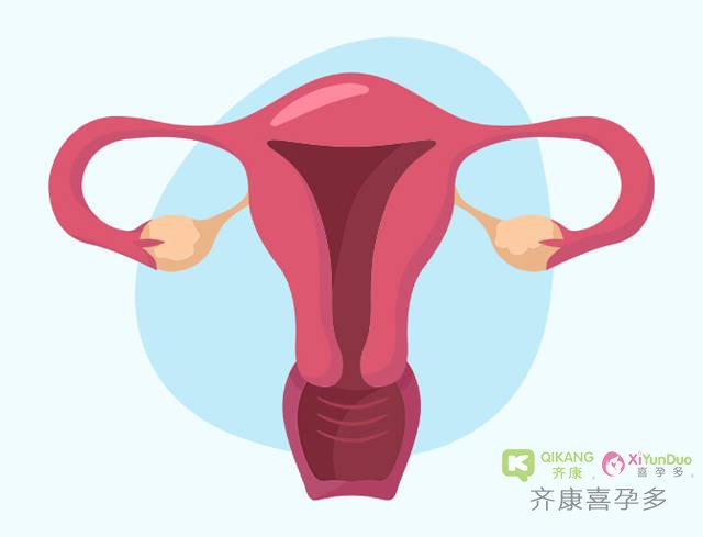 子宫内膜薄做试管还能顺利移植怀孕吗？