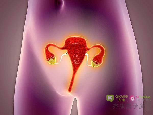 子宫内膜结核还能怀孕吗？能不能去做海外试管婴儿？