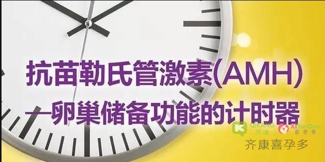 做试管婴儿前为什么一定要做AMH的检查？