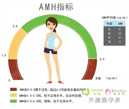 做试管婴儿前为什么一定要做AMH的检查？