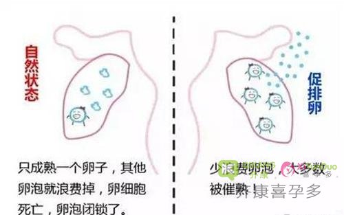 试管婴儿中打夜针不只是因为它是在夜里打，还有更重要的作用