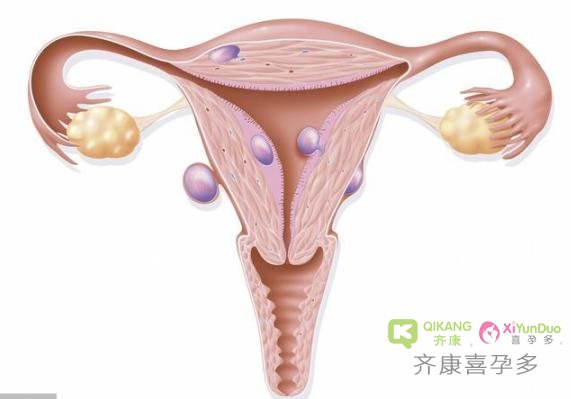 胚胎移植前子宫内膜薄有那些原因导致的？应该怎么样调理呢？