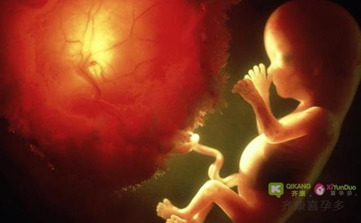 喜孕多小课堂———关于胚胎发育迟缓 你需要了解的都在这里
