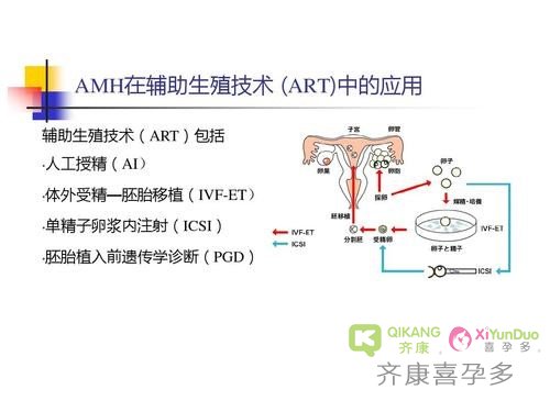 AMH检查有什么作用，它和流产有什么关系？