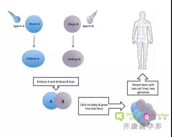 骨髓移植后，男人的身体被捐献者的DNA“吞噬”，连精液都不再属于自己