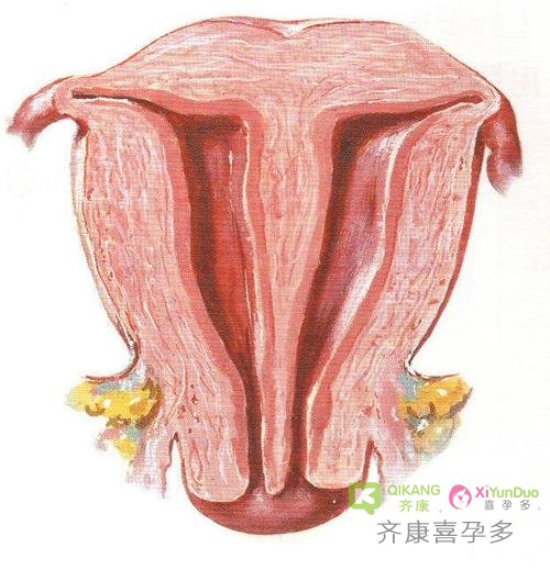 38岁的二婚女性做试管婴儿能成功吗？成功率有多高？