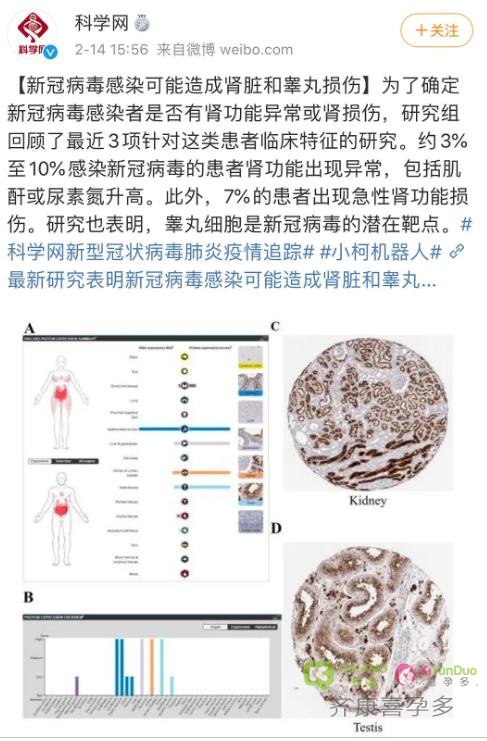 新型冠状肺炎对男性生育有影响吗？