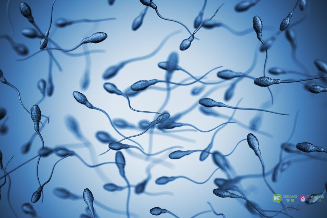 什么样的精子可以让自己另一半正常怀孕？