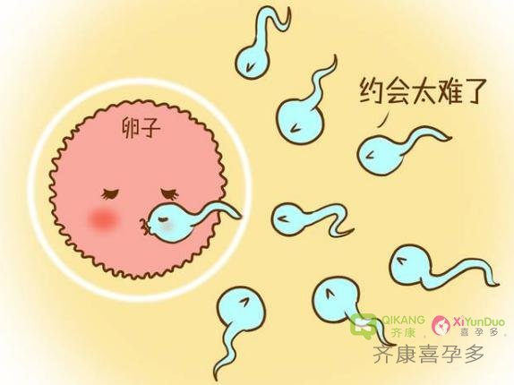 什么样的精子可以让自己另一半正常怀孕？
