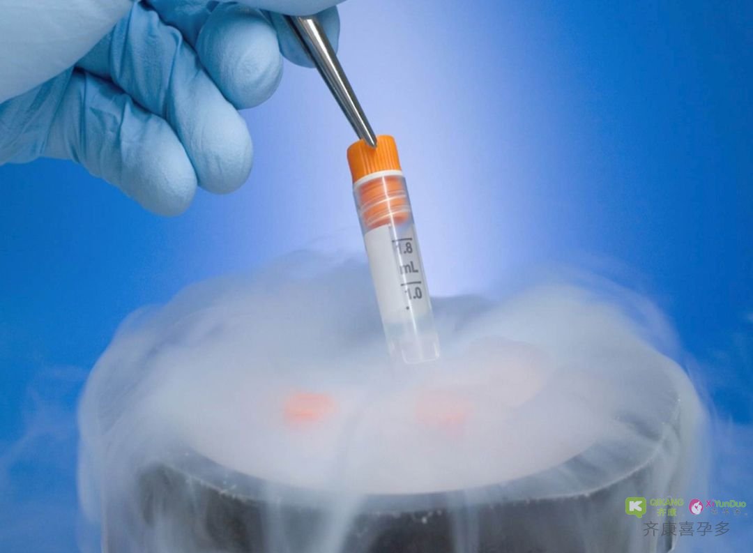 冷冻胚胎有什么好处？为什么现在大多数实验室都选择冷冻胚胎？