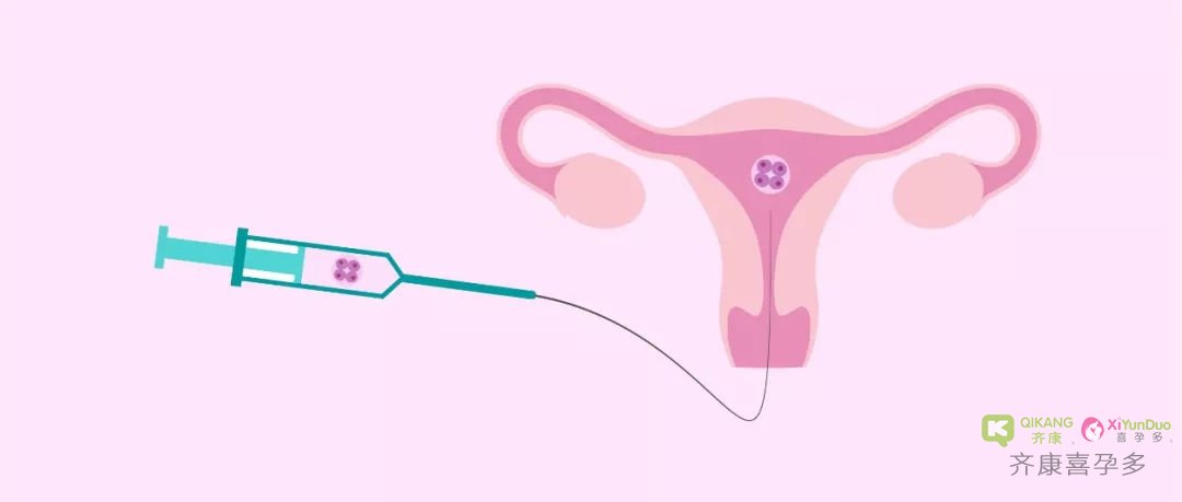 试管移植后到验孕的这段时间，胚胎在子宫内都在做什么？