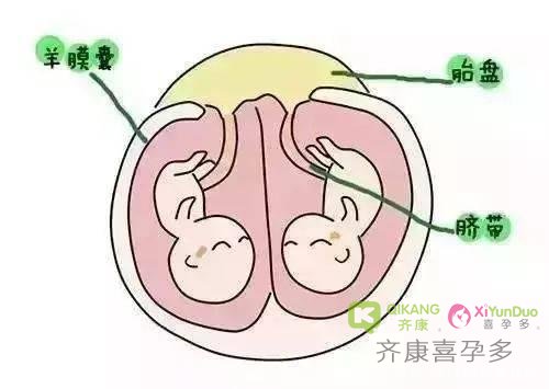 试管移植后到验孕的这段时间，胚胎在子宫内都在做什么？