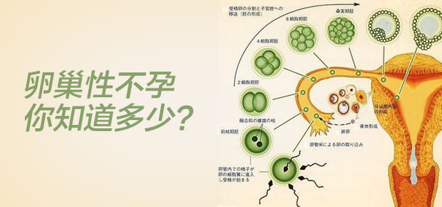 卵巢性不孕是否有必要寻求海外试管婴儿的帮助？