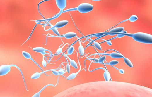 做试管婴儿男方精子应该如何调理？精子的活动率多少是正常的？