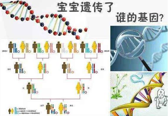 喜孕多漫谈——代Y夫妻常见的三大心理问题