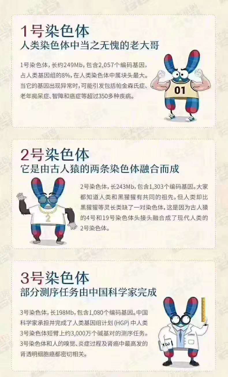 人类染色体奇妙物语