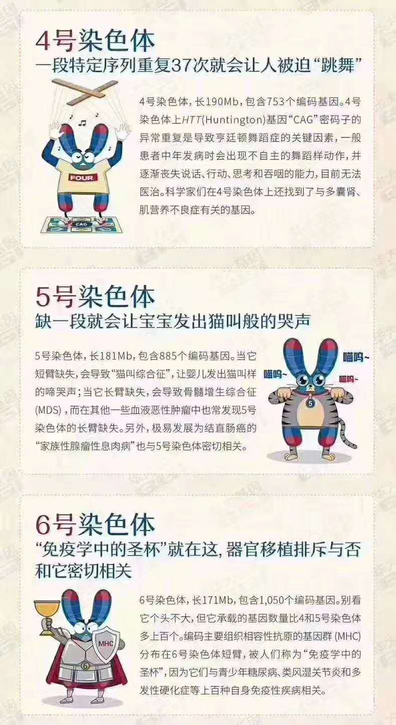 人类染色体奇妙物语