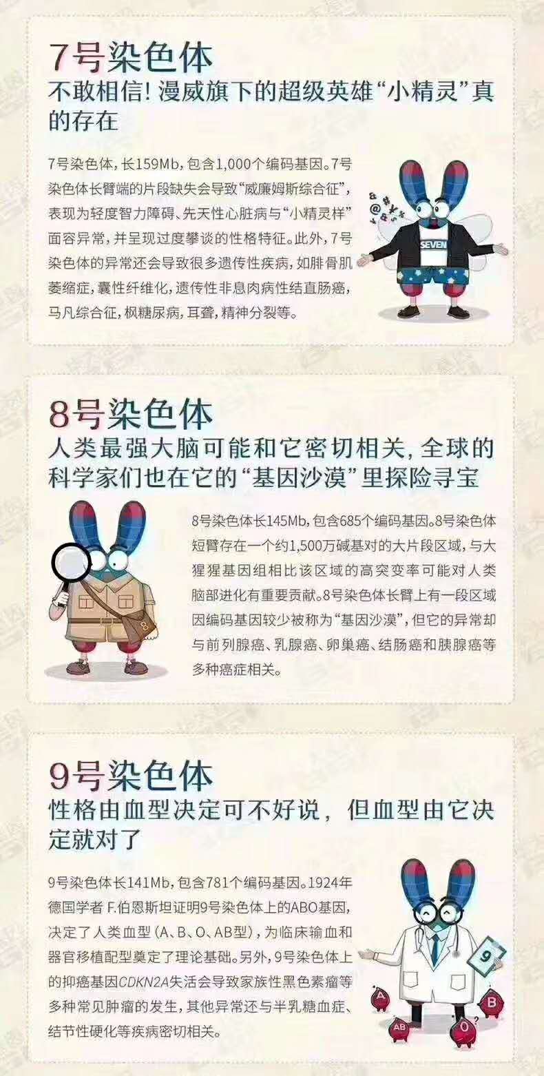 人类染色体奇妙物语