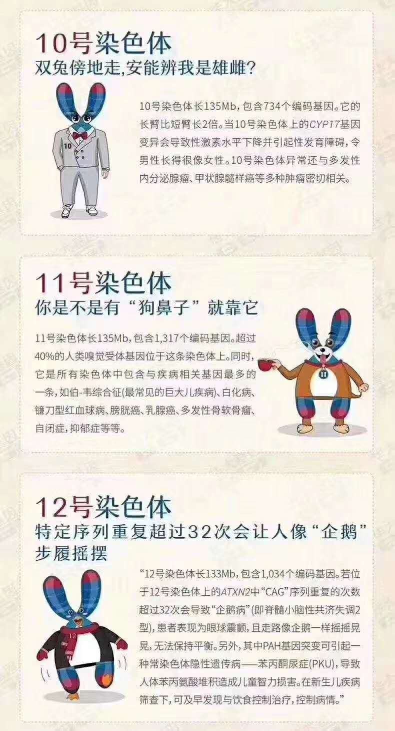 人类染色体奇妙物语