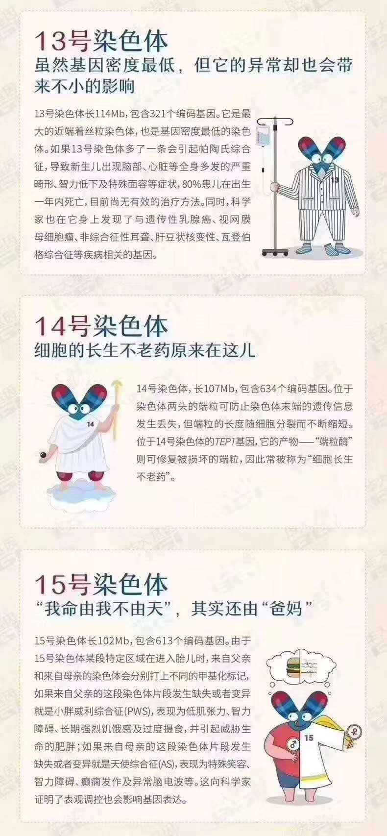 人类染色体奇妙物语