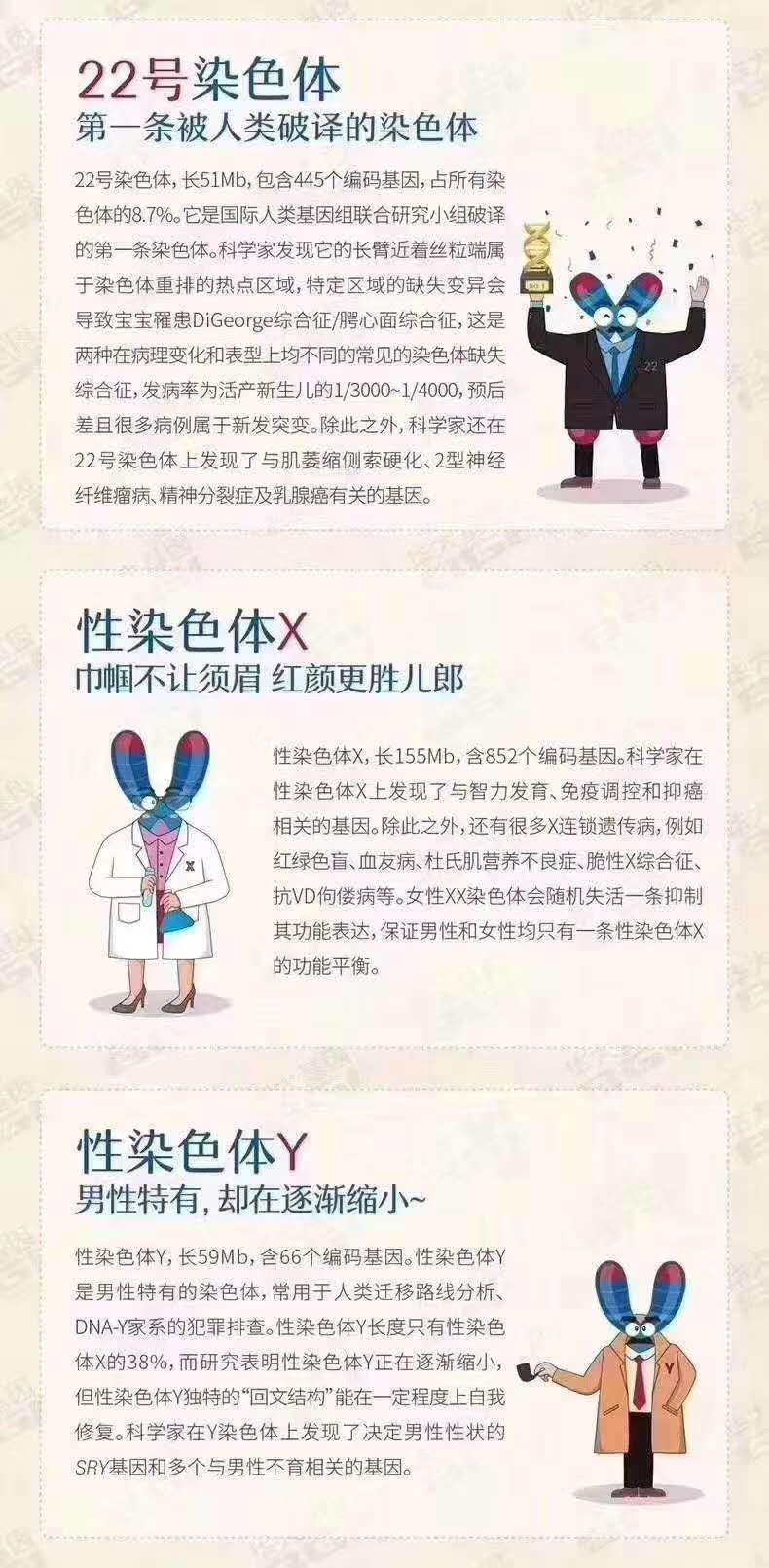 人类染色体奇妙物语