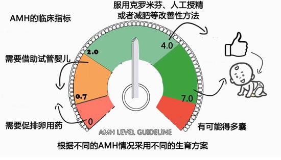 卵巢功能检查正常的分界点在什么数值上