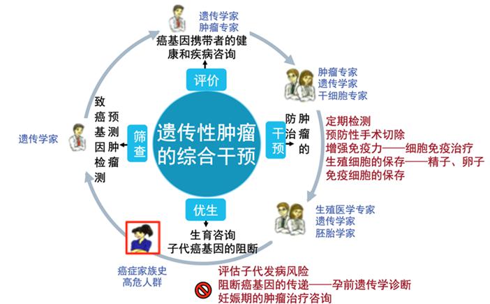 三代试管知识之——遗传性肿瘤的预防和干预