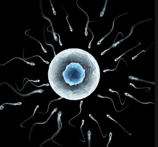 新冠病毒会在男生精液中存在通过精液传染吗