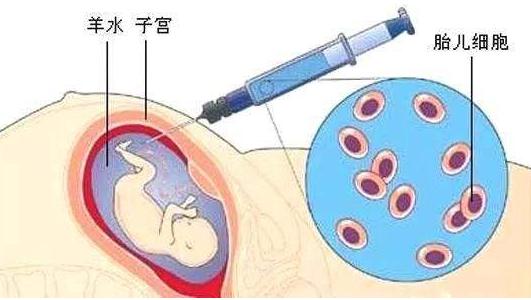 亲子鉴定采样方法