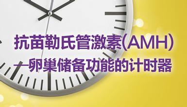 后悔药不是人人能够吃得起,评估卵巢这些常识需知道！