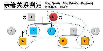 喜孕多小课堂——亲子鉴定项目介绍