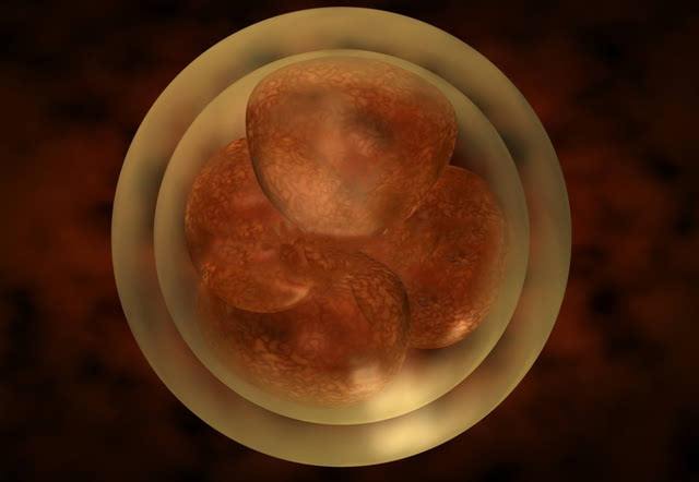 试管婴儿过程中，胚胎移植容易出现哪些问题？