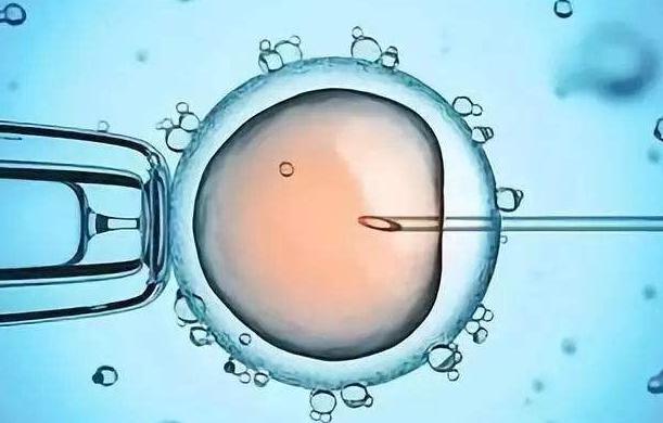 齐康喜孕多小常识——男性生殖保险之冷冻精子对精子质量的影响