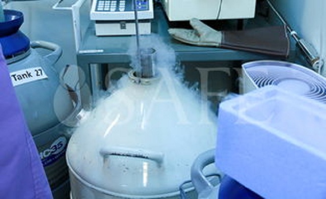 试管婴儿,冷冻胚胎,冷冻胚胎解冻有影响吗