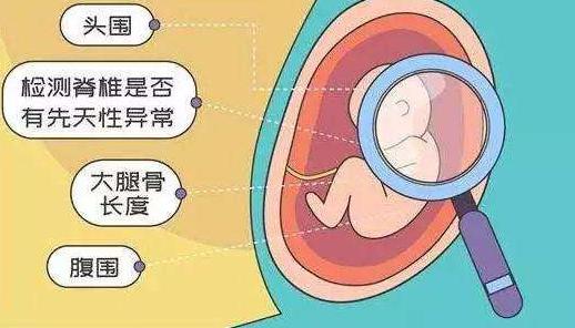 齐康喜孕多：胚胎发育迟缓不等于胎儿畸形