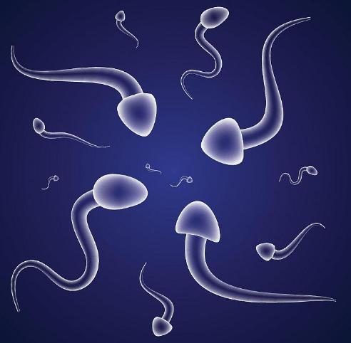 为什么做试管婴儿前要做精子DNA碎片检查？