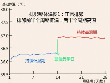 女性不排卵能怀孕吗_不排卵怎么办？是什么原因？