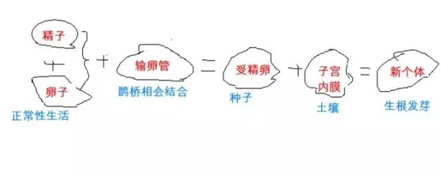 怀不上孩子，该一步步的做哪些检查