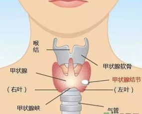 怀不上孩子，该一步步的做哪些检查